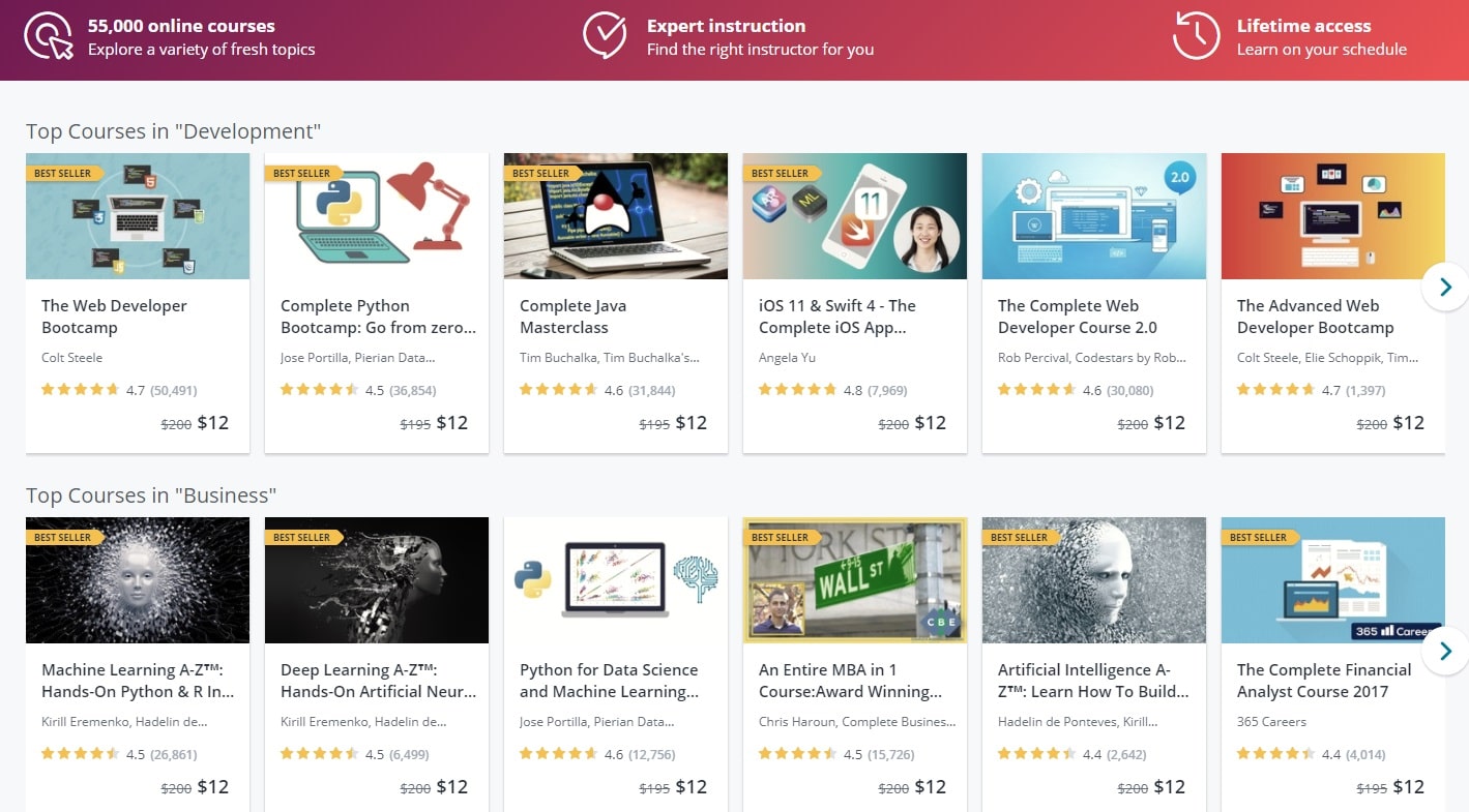 Udemy-Online Course Providers